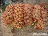 Sell Quality Potato Bag (Factory Price)