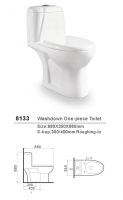 NEWTANG Washdown One-piece closet (Toilet) No:8133