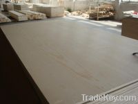 Sell High Quality Commercial Plywood For Construction