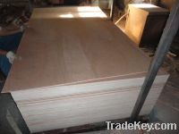 Sell High Quality 3.6MM Plywood