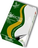 Spectra Copier 80gsm