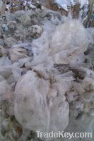 Sell ldpe 99-1