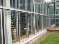 Sell Louver Glass
