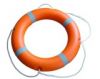 Sell Life Buoy with EC Certificate