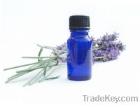 Sell Lavender oil