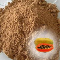 Sell Natural Papaya Powder