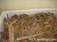 Agarwood Chips