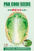 LY 38 DAYS CABBAGE SEED(489)