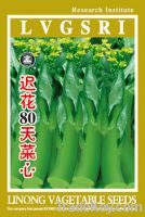 Sell late mature ZYCH 80-days choy sum seeds(483)
