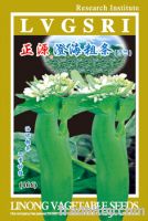 Sell ZYCH thick-stem cabbage mustard seeds(466)