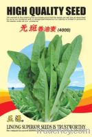 Sell crisp Not spot Indian lettuce seeds(4008)