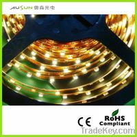 SMD3528 120LED/m The epoxy resin pours into the silica gel pipe strip