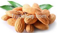 Raw Almond, Good Quality, Organic