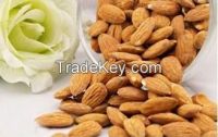 Fresh Raw Almond, Good Quality, Organic