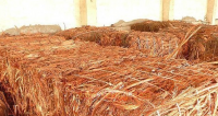 Sell Pure Millberry Copper Wire, Copper Scraps, Copper Wire Scrap 99.9%