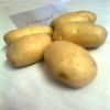 Fresh potato DIAMONT