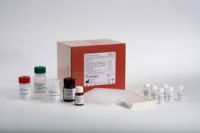 Sell Human Pancreatic Polypeptide, PP ELISA Kit