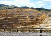 Sell Gold and Nickel Mine