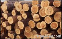 Sell Wood Logs