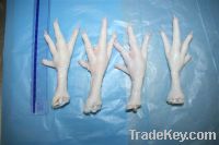  Export Chicken Paw | Chicken Feet Suppliers | Poultry Feet Exporters | Chicken Feets Traders | Processed Chicken Paw Buyers | Frozen Poultry Paw Wholesalers | Low Price Freeze Chicken Paw | Best Buy Chicken Paw | Buy Chicken Paw | Import Chicken Paw | Ch