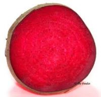 Sell Beet Red