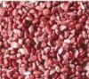 Sell Sorghum Red