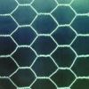 hexagnoal wire mesh