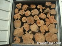 Teak logs for sale