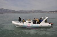 Sell Rigid inflatable boat, rib boat-Lian Ya HYP830