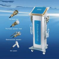 Sell stationary electroporation mesotherapy machine(JMLB-9)