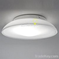 Lunex Wall or Ceiling Light