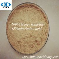 Plant Resource Amino Acid Powder Manufacturer