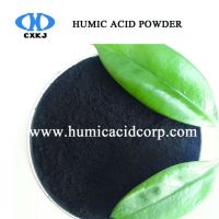 Humic Acid Powder Soil Conditioner