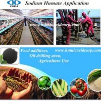 Water Soluble Sodium Humate Organic Fertilizer 70%HA