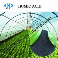 Mineral fertilizer humic acid powder granule from high quality leonardite