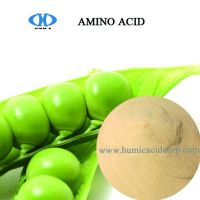 High Quality Amino acid China Supplier