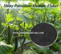 Shiny Potassium Humate Flakes Huminrich Stimulate Plant Growth