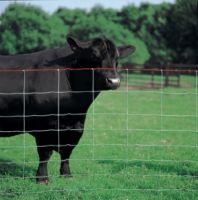 Grassland Fence , Prairie fence, Deer fence