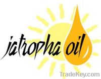 Sell Crude Jatropha Oil