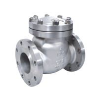 Check Valve (H44)