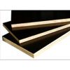 Sell Film faced plywood