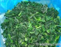 Sell IQF Chopped Spinach
