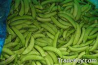 Sell IQF Sugar Snap Peas