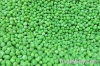 Sell IQF Green  peas