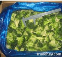 Sell IQF Broccoli Florets & Cuts