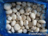 Sell IQF Champignon Mushroom