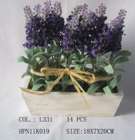 Sell  lavender in wooden pot