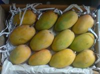 Kesar Mango