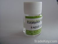 Sell eucalyptus oil