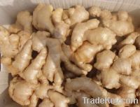 Sell wind-dried ginger